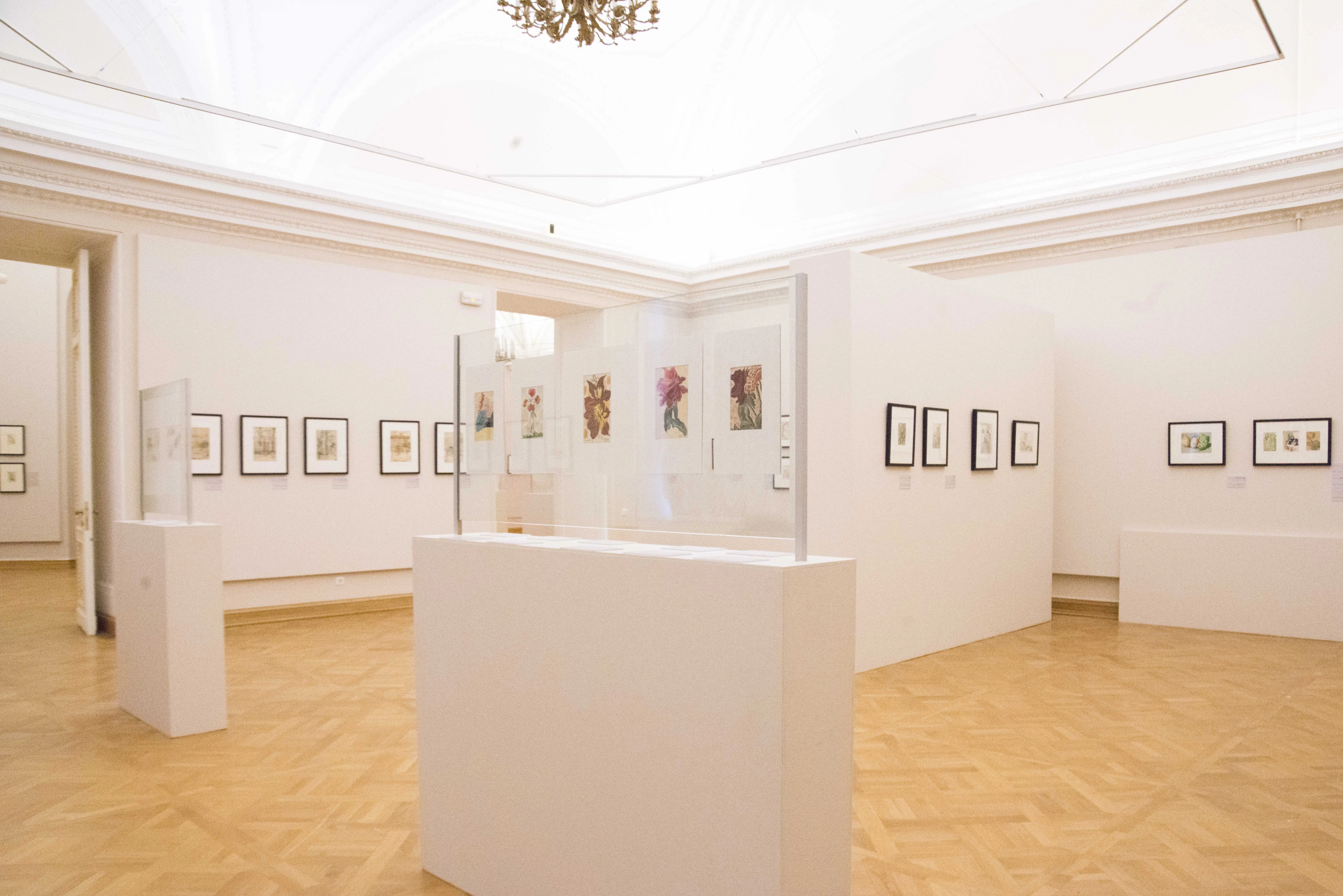 В Михайловском замке открылась юбилейная выставка выдающегося русского графика Дмитрия Митрохина