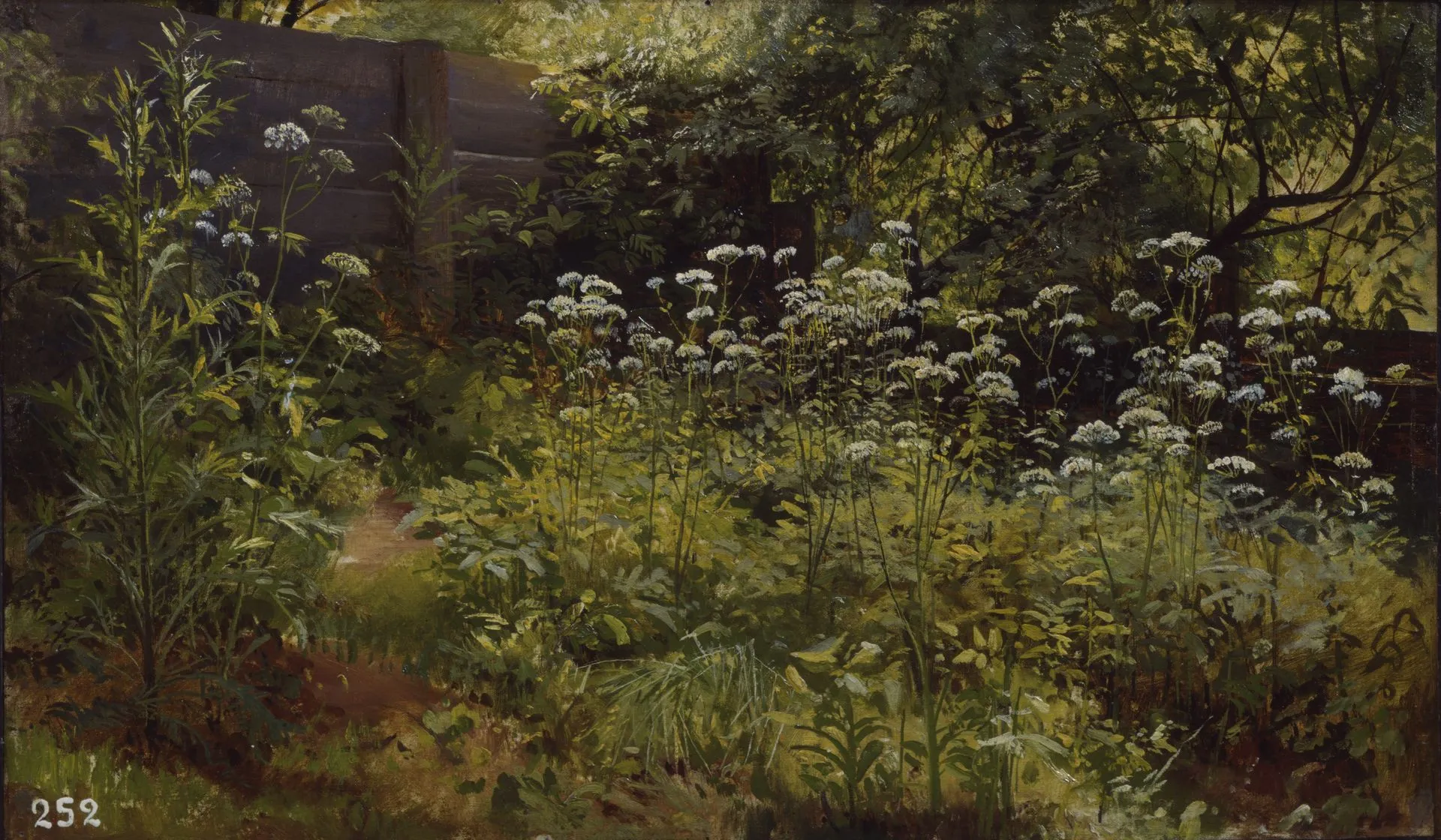 И.И. Шишкин. Сныть-трава. Парголово. 1884 (1885?). Холст на картоне, масло