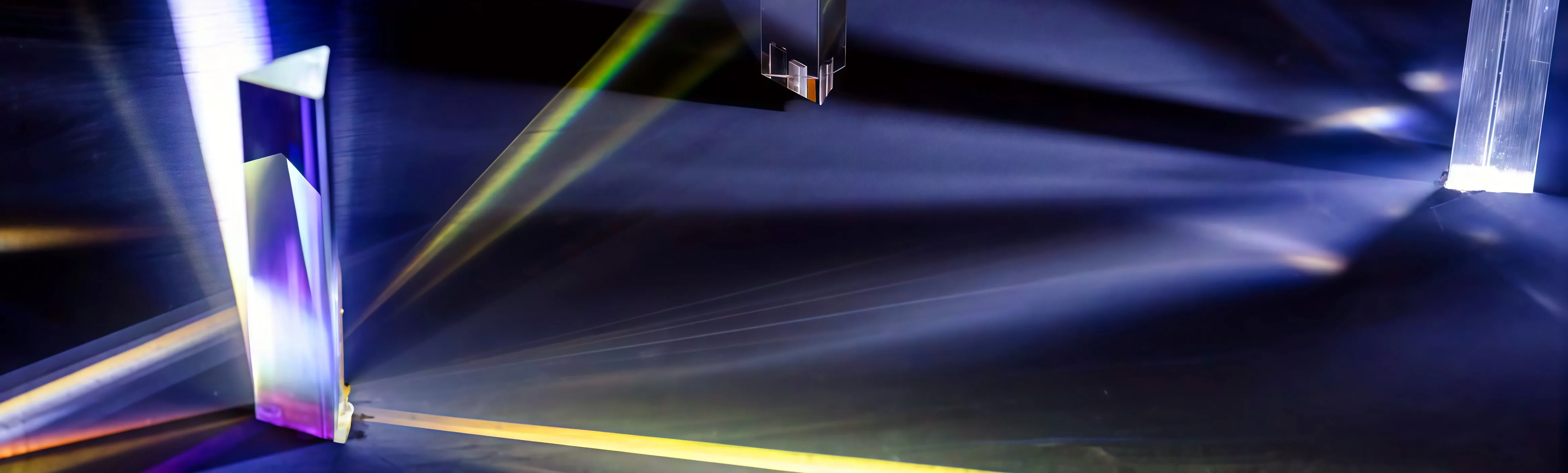 Выставочные проекты