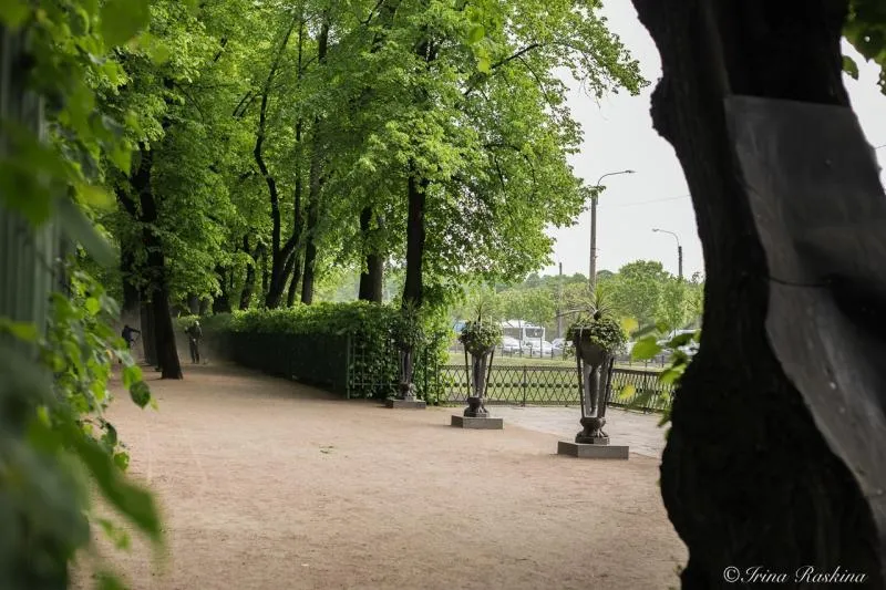 Жизнь растений в Летнем саду