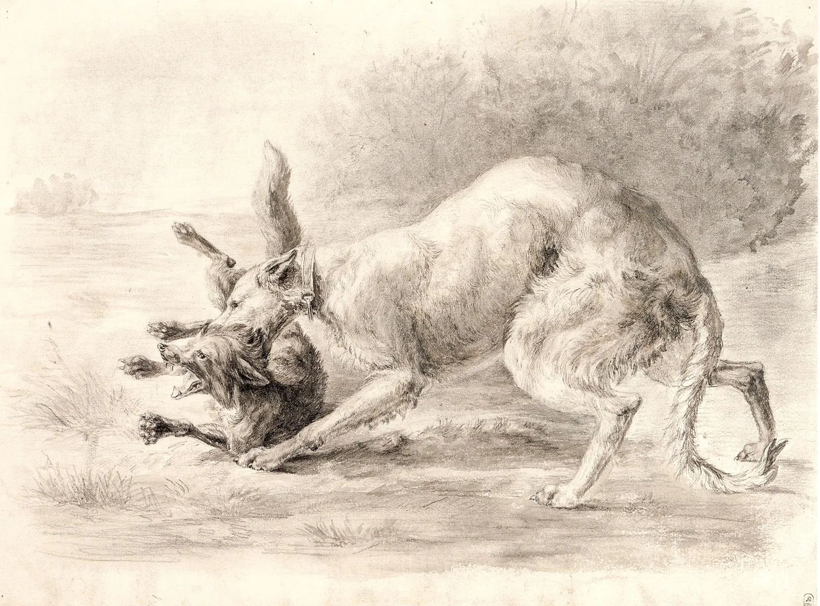 А. Л. Обер. Борзая с лисицей. 1879. Бумага, графитный карандаш.