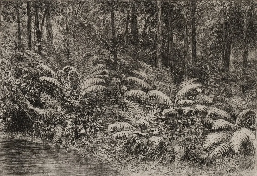 И.И. Шишкин. Папоротники. 1885. Бумага, офорт, мягкий лак.