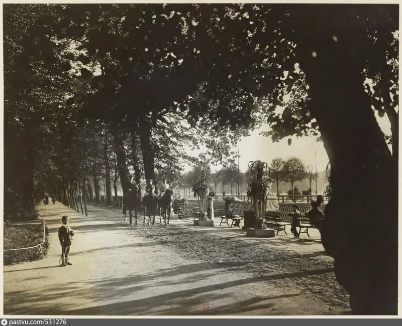 История Летнего сада и судьбы его деревьев