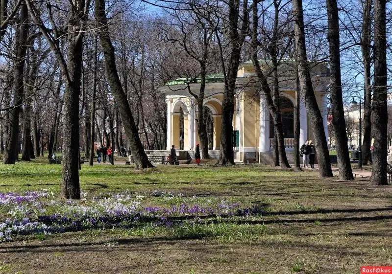 Знакомство с Михайловским садом – деревьями-патриархами, весеннецветущими эфимерами и тайнобрачными растениями