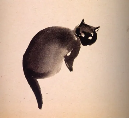 В.Г. Траугот. Кошка. Из серии «В зоопарке». Конец 1950-начало 1960-х. Бумага, акварель. 24х26