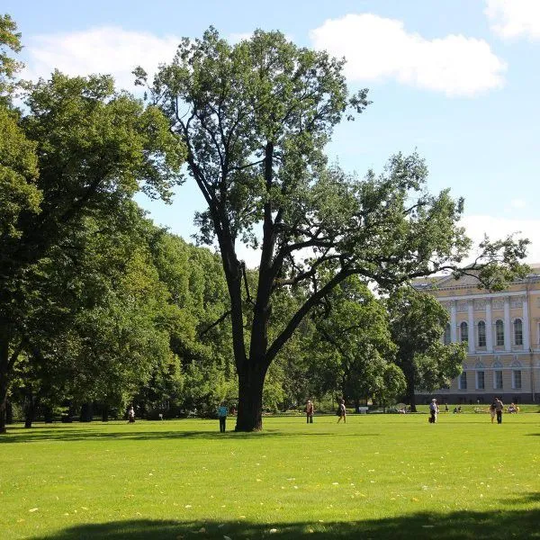 Жизнь растений в Михайловском саду