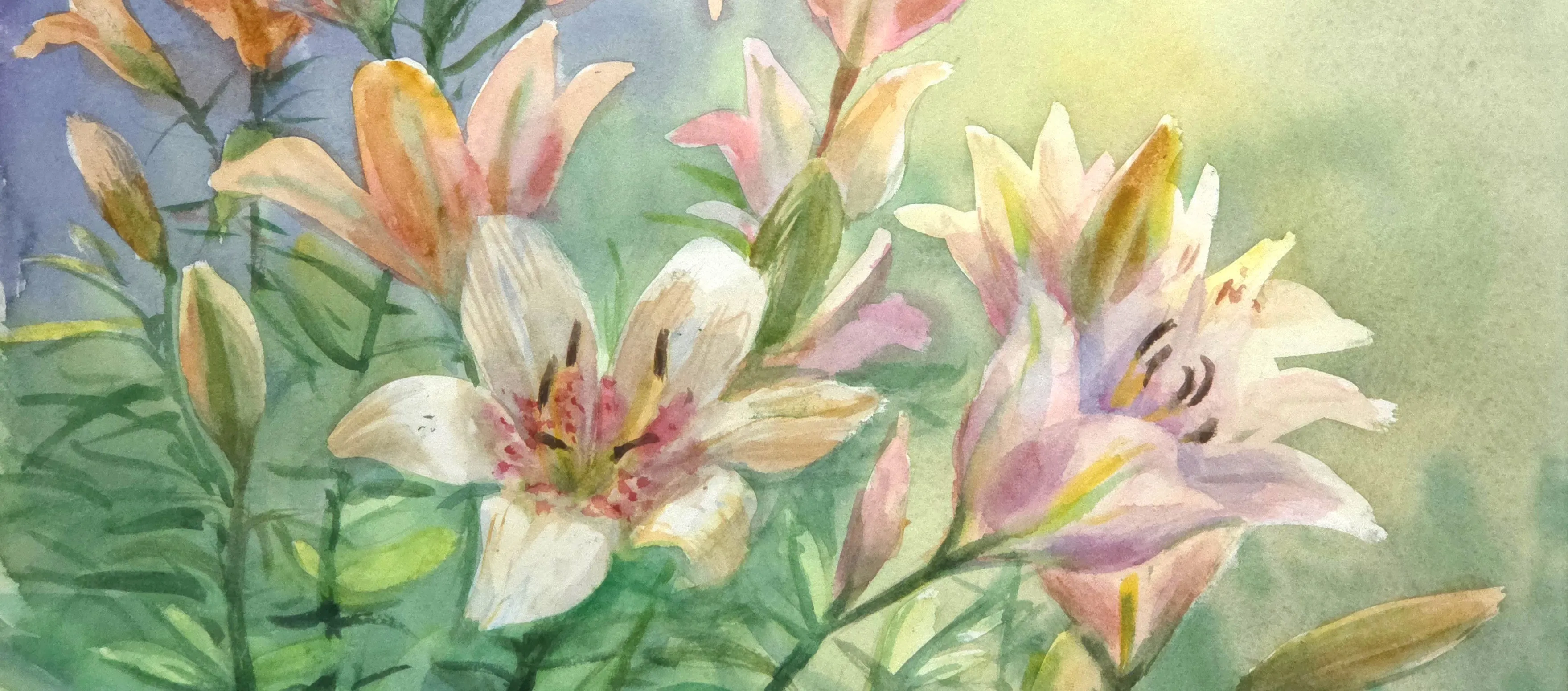 Мастер-класс для взрослых «Белая лилия акварелью»